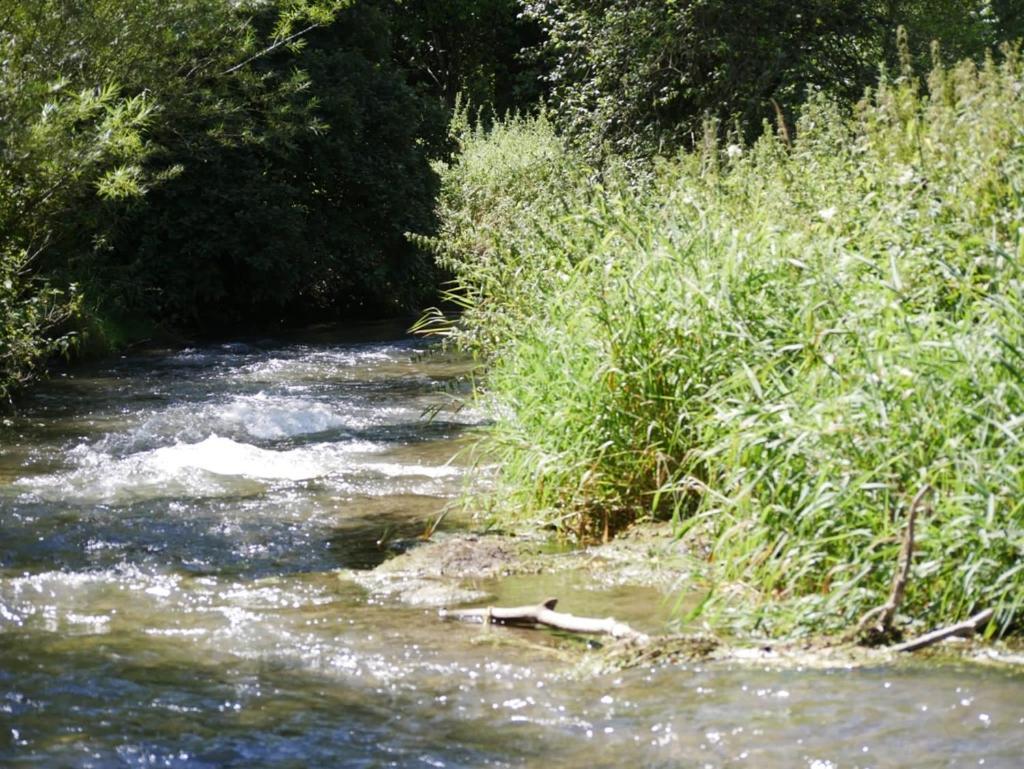 Ferienhaus Eichhoelzle Münsingen Zewnętrze zdjęcie